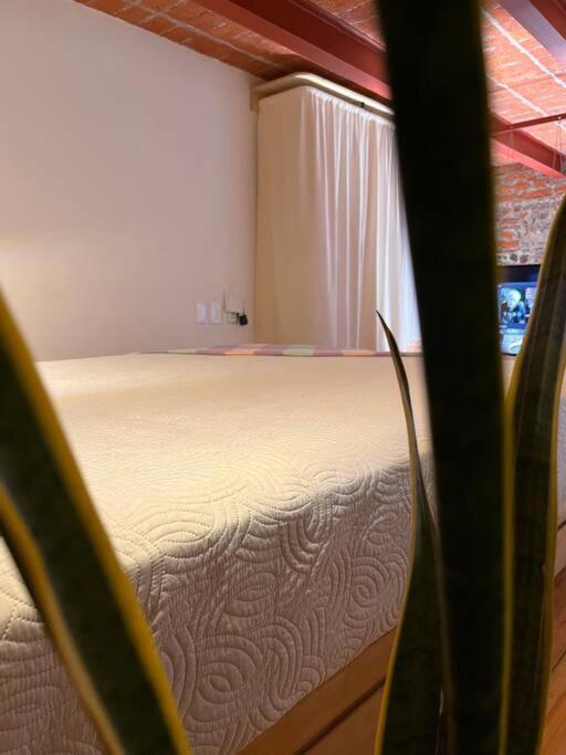 108, Loft Confortable, Balcon 1 Calle Bellas Artes Mexico City Exteriör bild